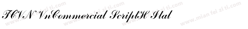 TCVN VnCommercial ScriptH Italic字体转换